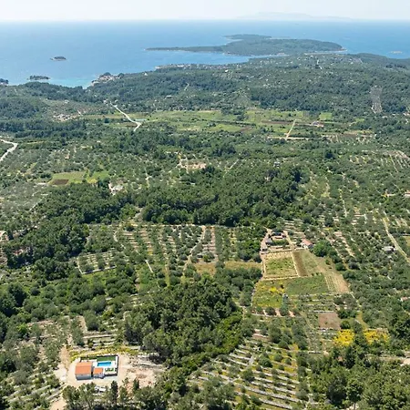 Lovely Modern Antea With Private Pool Near Vela Luka