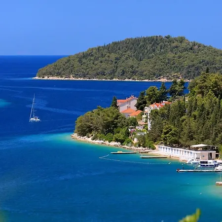 Lovely Modern Antea With Private Pool Near Villa Vela Luka